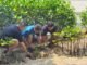 Pulau Tidung Jadi Lokasi Aksi Konservasi Keempat Mangrove Jakarta Impact dan Digital Edge Indonesia Pulau Tidung Jadi Lokasi Aksi Konservasi Keempat Mangrove Jakarta Impact dan Digital Edge Indonesia