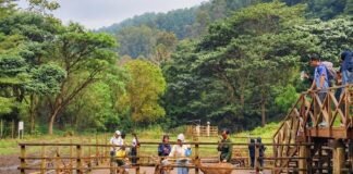 The Urban Nature Retreat, Cara Baru Menikmati Bandung dari Braga hingga Tahura The Urban Nature Retreat, Cara Baru Menikmati Bandung dari Braga hingga Tahura