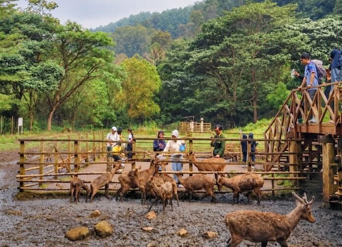 The Urban Nature Retreat, Cara Baru Menikmati Bandung dari Braga hingga Tahura The Urban Nature Retreat, Cara Baru Menikmati Bandung dari Braga hingga Tahura
