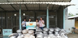 PET KINGDOM Kembali Gelar CARE FOR PAW 2026, Targetkan 21 Ton Pet Food untuk Anabul PET KINGDOM Kembali Gelar CARE FOR PAW 2026, Targetkan 21 Ton Pet Food untuk Anabul