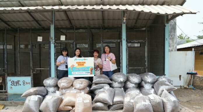 PET KINGDOM Kembali Gelar CARE FOR PAW 2026, Targetkan 21 Ton Pet Food untuk Anabul PET KINGDOM Kembali Gelar CARE FOR PAW 2026, Targetkan 21 Ton Pet Food untuk Anabul