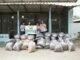 PET KINGDOM Kembali Gelar CARE FOR PAW 2026, Targetkan 21 Ton Pet Food untuk Anabul PET KINGDOM Kembali Gelar CARE FOR PAW 2026, Targetkan 21 Ton Pet Food untuk Anabul