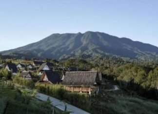 WALHI Apresiasi Keterbukaan EIGER Nature, Konsistensi Lingkungan Tetap Jadi Catatan EIGER Nature Dapat Apresiasi WALHI dan WWF-Indonesia